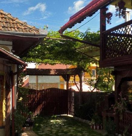 Casa Boierului Imbri Villa Cîrţişoara Esterno foto