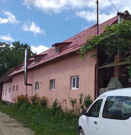 Casa Boierului Imbri Villa Cîrţişoara Esterno foto