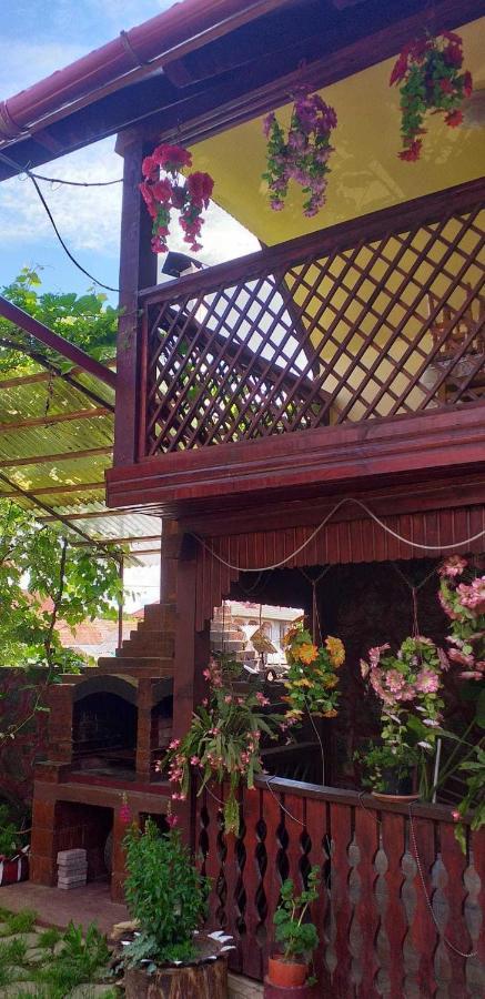 Casa Boierului Imbri Villa Cîrţişoara Esterno foto