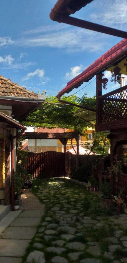 Casa Boierului Imbri Villa Cîrţişoara Esterno foto