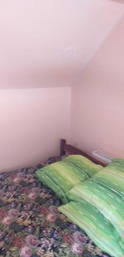 Casa Boierului Imbri Villa Cîrţişoara Esterno foto