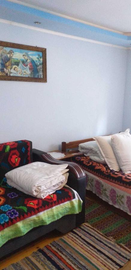 Casa Boierului Imbri Villa Cîrţişoara Esterno foto