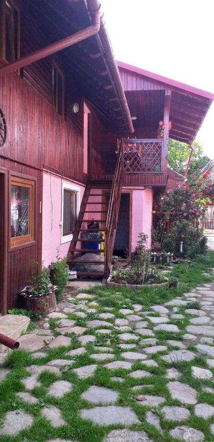 Casa Boierului Imbri Villa Cîrţişoara Esterno foto