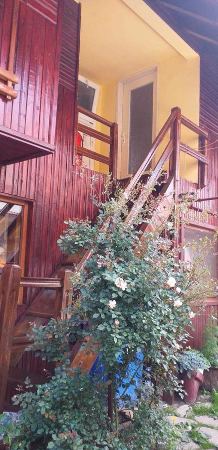 Casa Boierului Imbri Villa Cîrţişoara Esterno foto