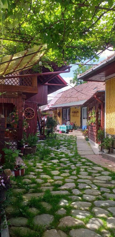 Casa Boierului Imbri Villa Cîrţişoara Esterno foto