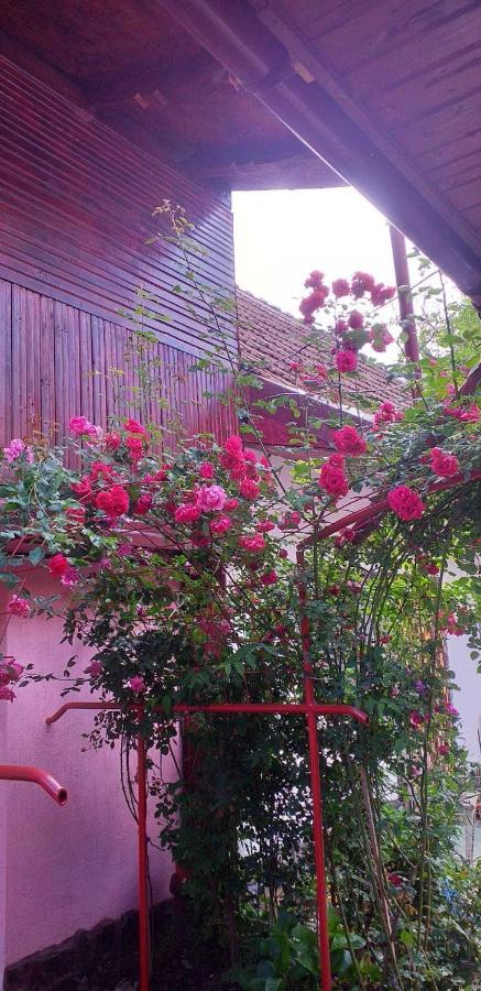 Casa Boierului Imbri Villa Cîrţişoara Esterno foto