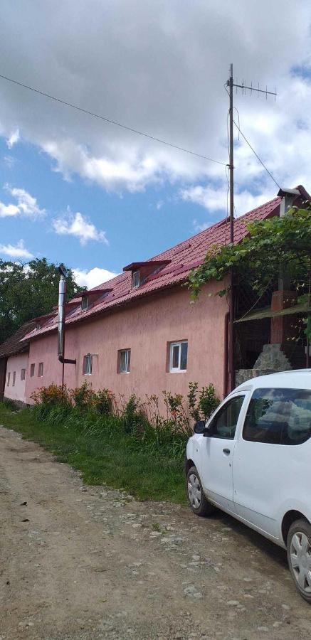 Casa Boierului Imbri Villa Cîrţişoara Esterno foto