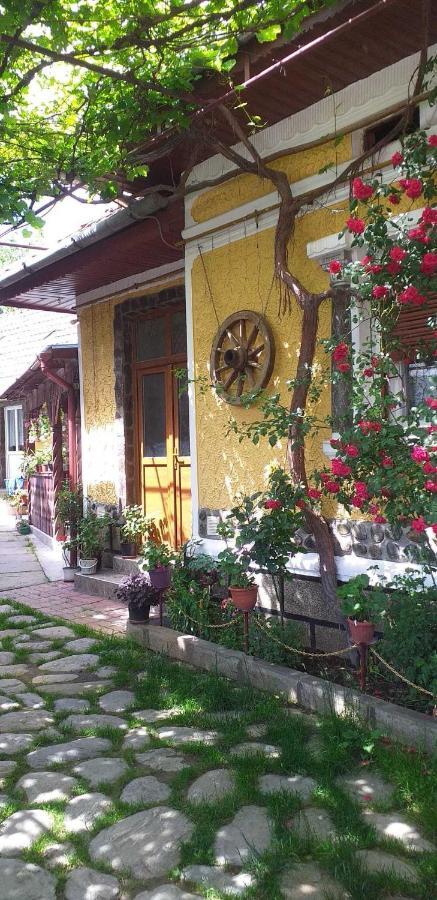 Casa Boierului Imbri Villa Cîrţişoara Esterno foto