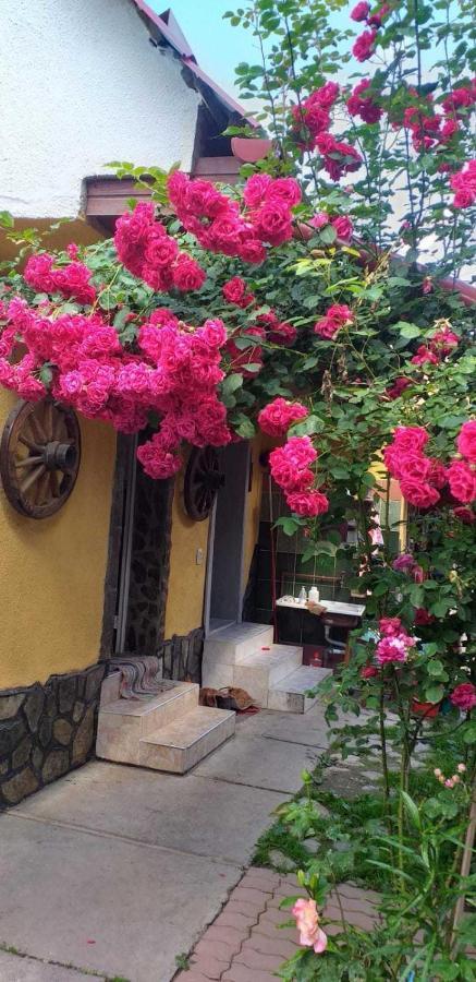 Casa Boierului Imbri Villa Cîrţişoara Esterno foto