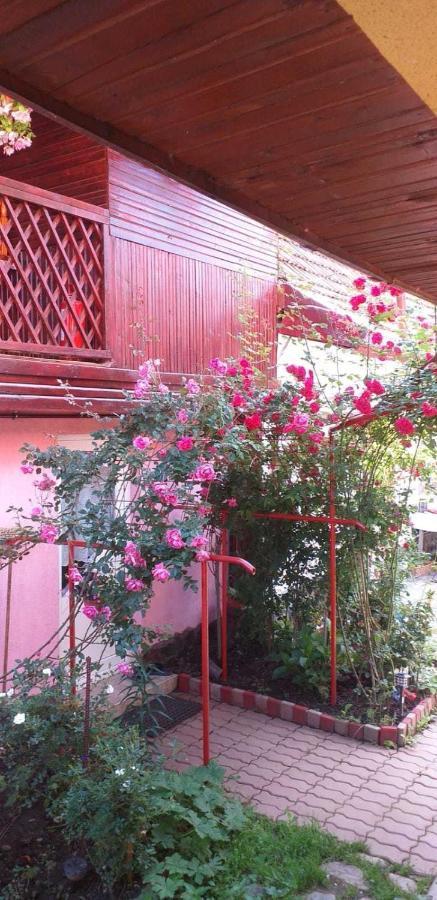 Casa Boierului Imbri Villa Cîrţişoara Esterno foto