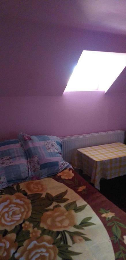 Casa Boierului Imbri Villa Cîrţişoara Esterno foto